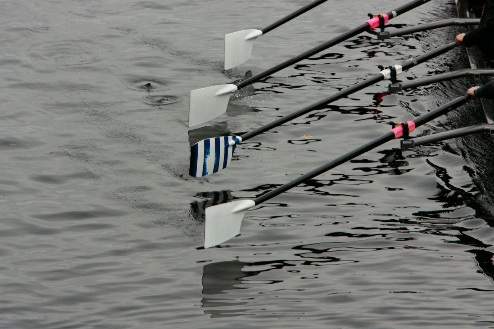 Accompagnement Comité de Direction Noria Formations